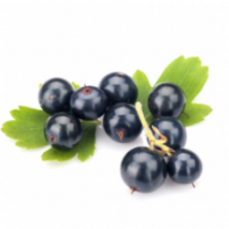 Blackcurrant Blackcurrant