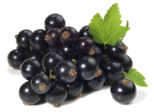 Cassis Cassis