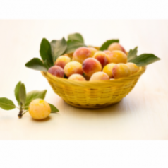 Mirabelle Mirabelle