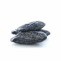 Tonka Bean Tonka Bean