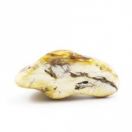 White Amber White Amber